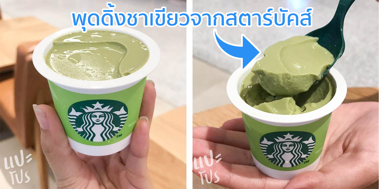 พุดดิ้งชาเขียว สตาร์บัคส์