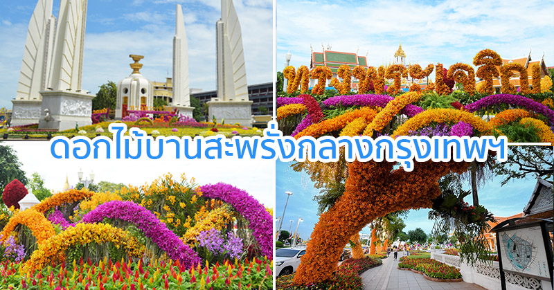 12 สิงหาฯ สวนดอกไม้