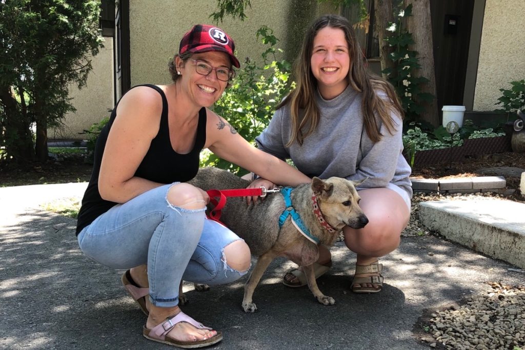 Overweight Dog Rescued From Bangkok Leads A Healthier Life In Canada