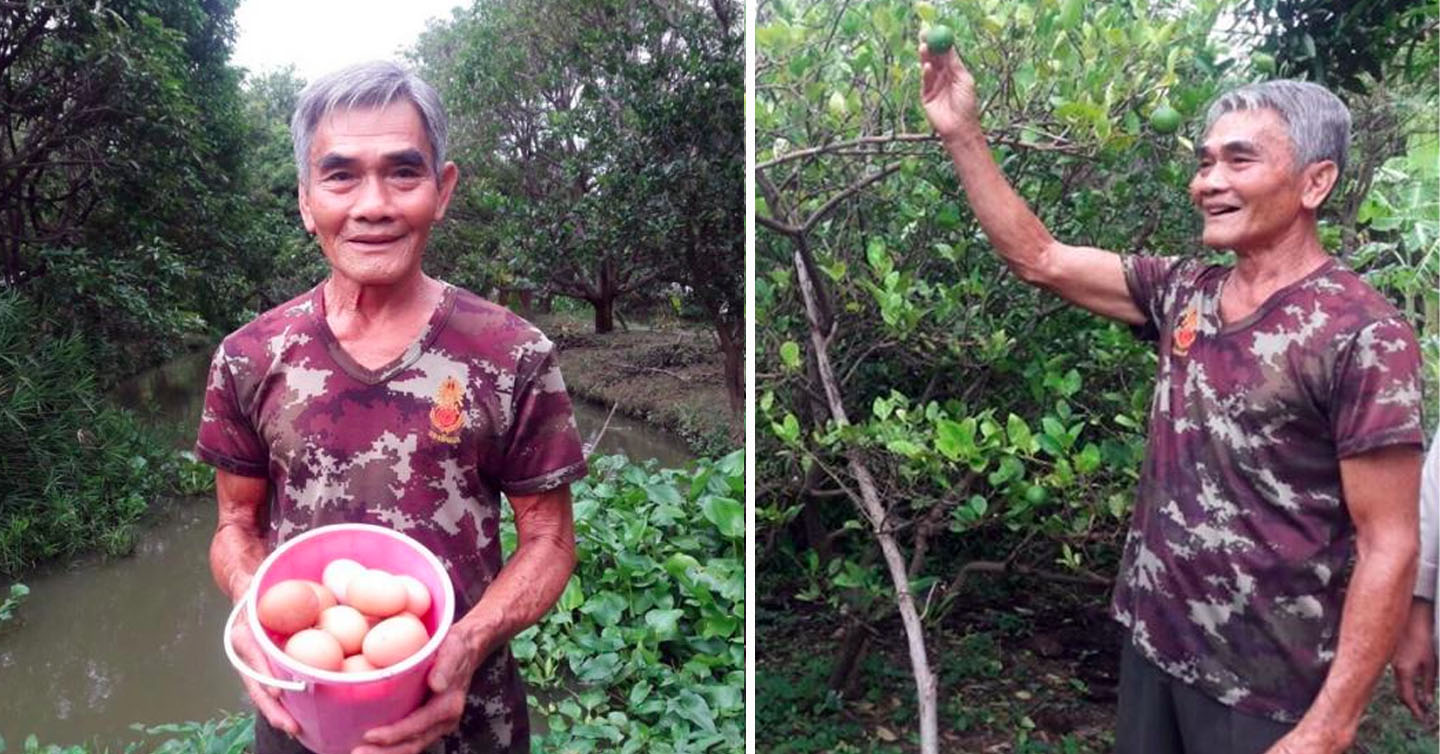 เกษตรทฤษฎีใหม่