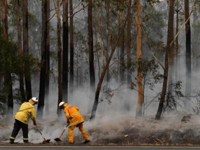 Here’s How To Donate To Australia’s Wildfire Victims And Relief Causes