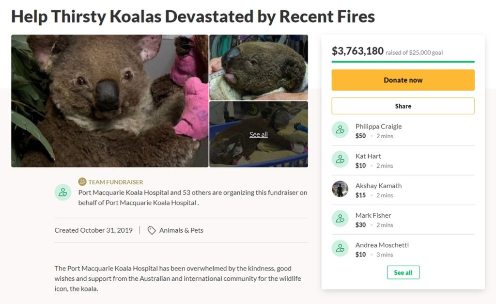 You Can Adopt Koalas To Show Support During Australia's Bushfires