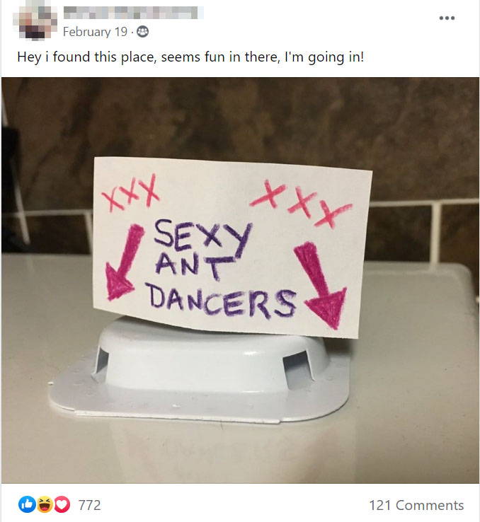 People Are Pretending To Be Ants In A Viral FB Group During Lockdown