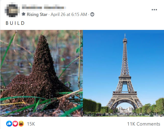 People Are Pretending To Be Ants In A Viral FB Group During Lockdown