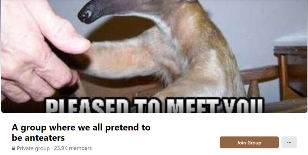 People Are Pretending To Be Ants In A Viral FB Group During Lockdown