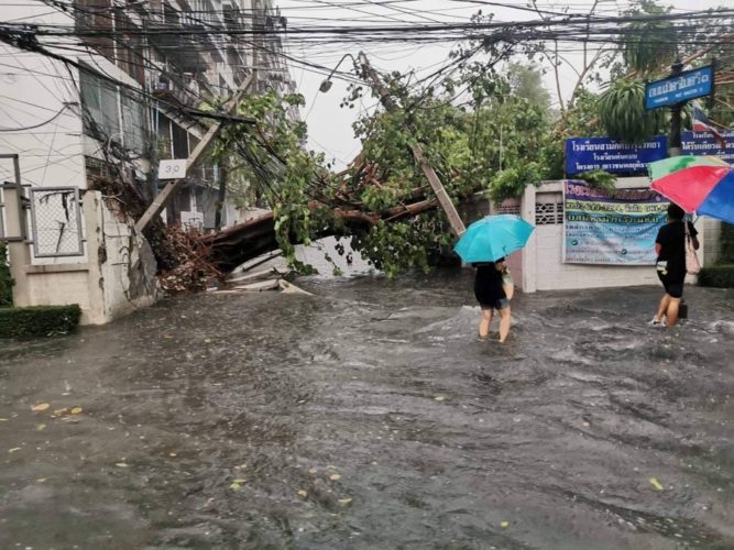 Fish Starts Swimming In House After Bangkok Hit With Flood