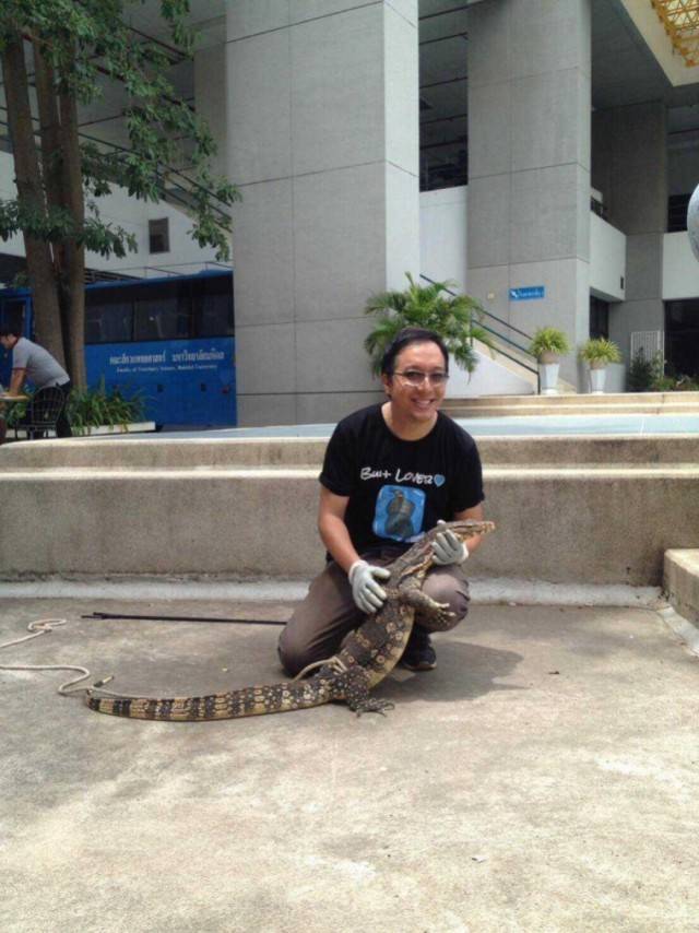 Thai Scientists Want To Extract Monitor Lizards’ Blood To Combat Covid19