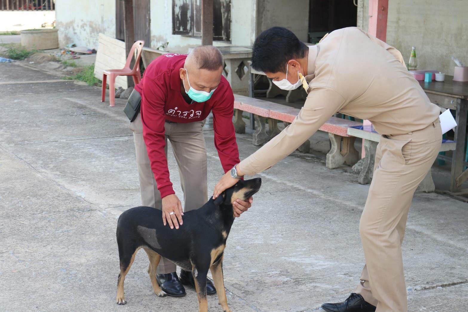 Police's Dog Gets Shot At Checkpoint, Case Is Under Investigation