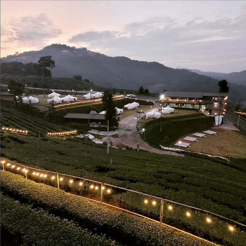 101 Tea Green View Resort In Chiang Rai Has A Tea Farm & Loft Homes