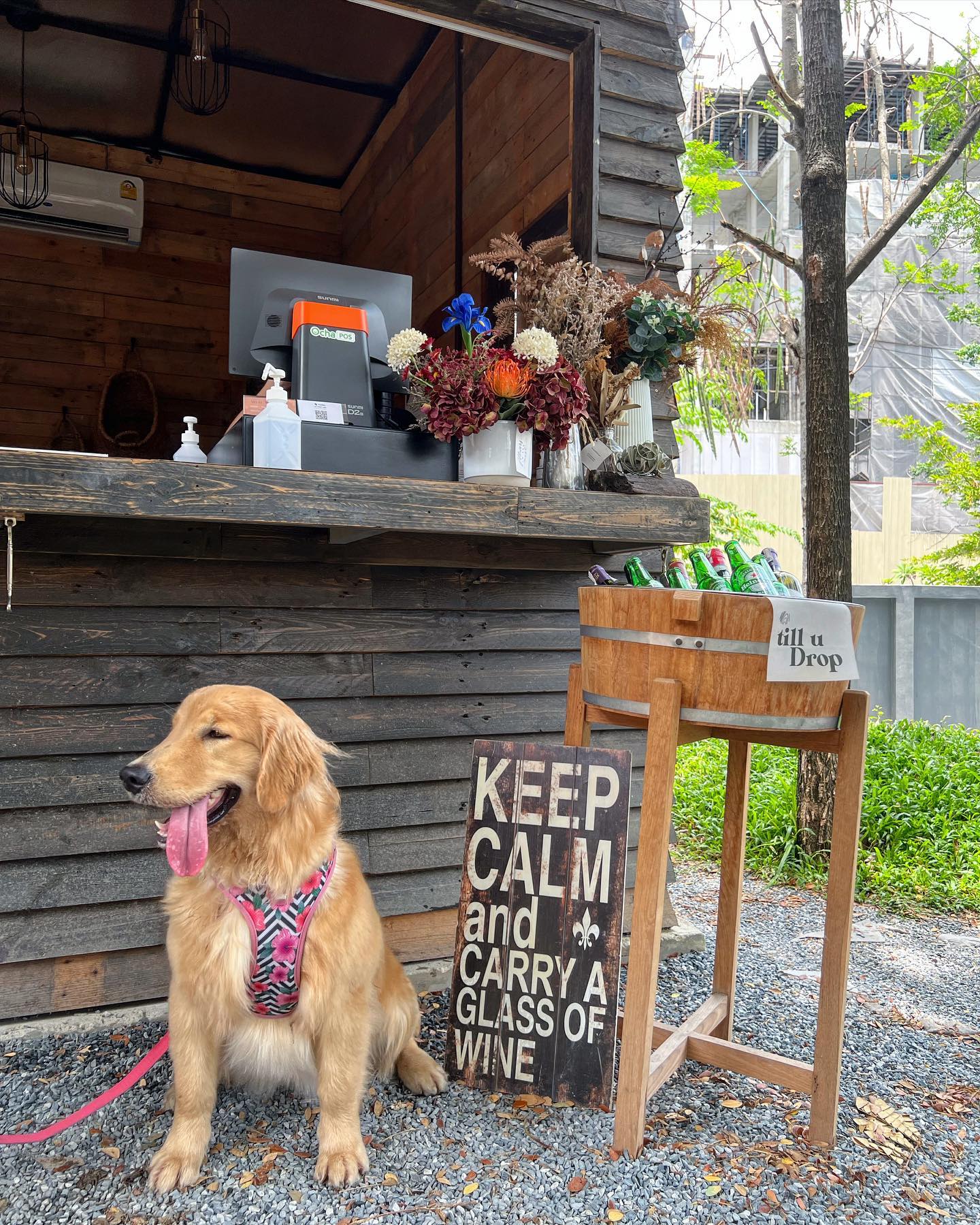 The Wood Land Is A Bangkok Cafe With A Treehouse Loft & Drip Coffee