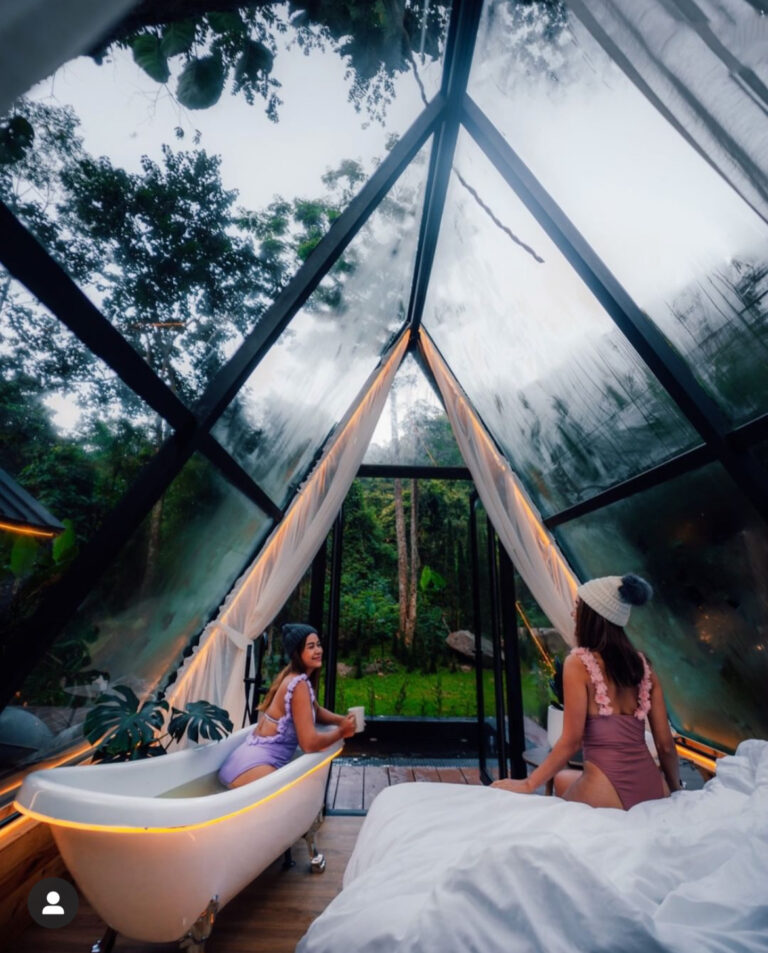 Morning Star Glamping Has AllWhite, AllGlass & AllWood Triangle Huts