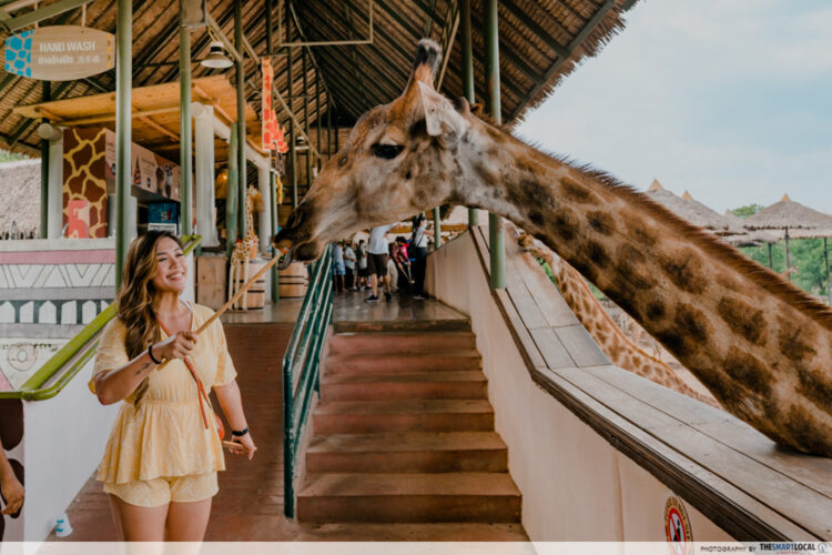 Safari World Bangkok Has An Open Concept Zoo With Free-Roam Animals