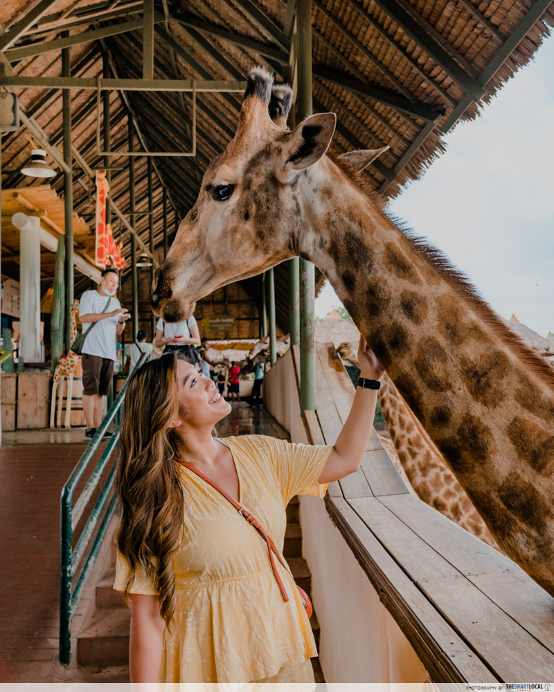 safari zoo in thailand