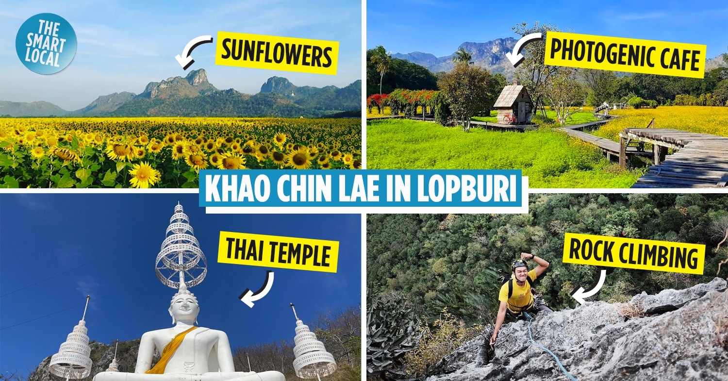 Khao Chin Lae Sunflower Fields in Lopburi [Updated 2020] - It's