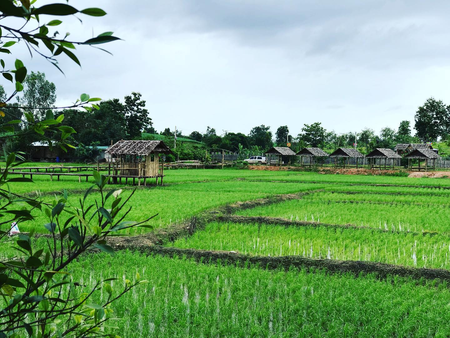 Pong Kam Ram Hot Spring - green field view