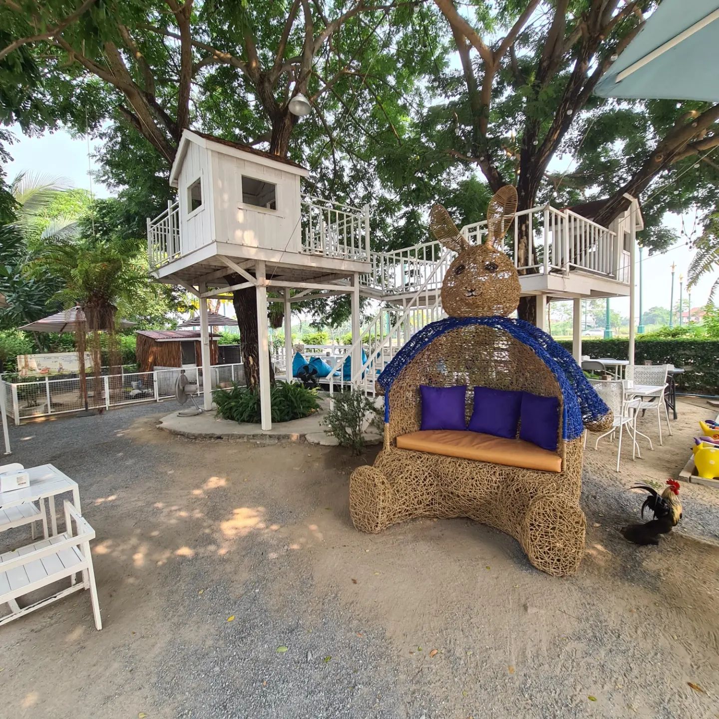 Pet cafes in Bangkok